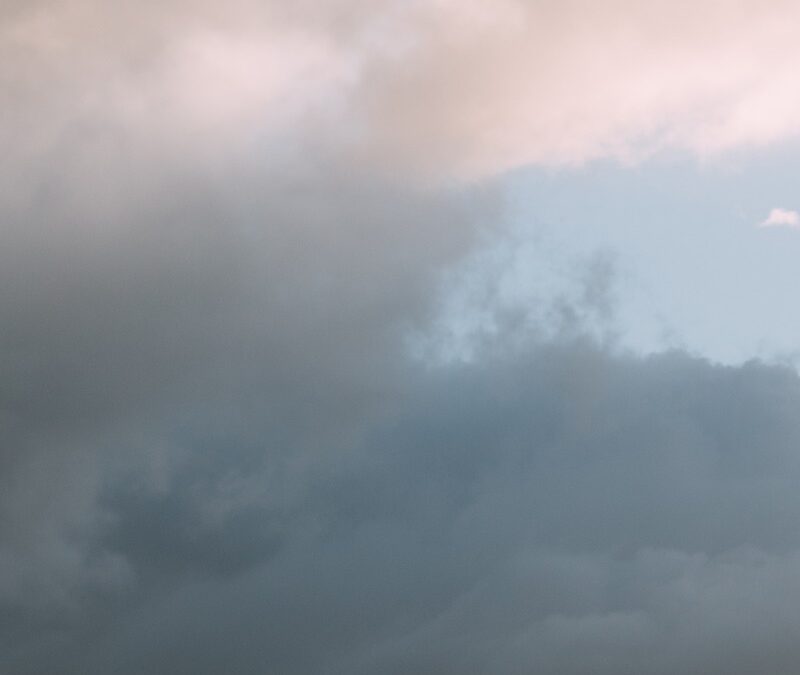 Sachsens Aufwind und Gegenwind