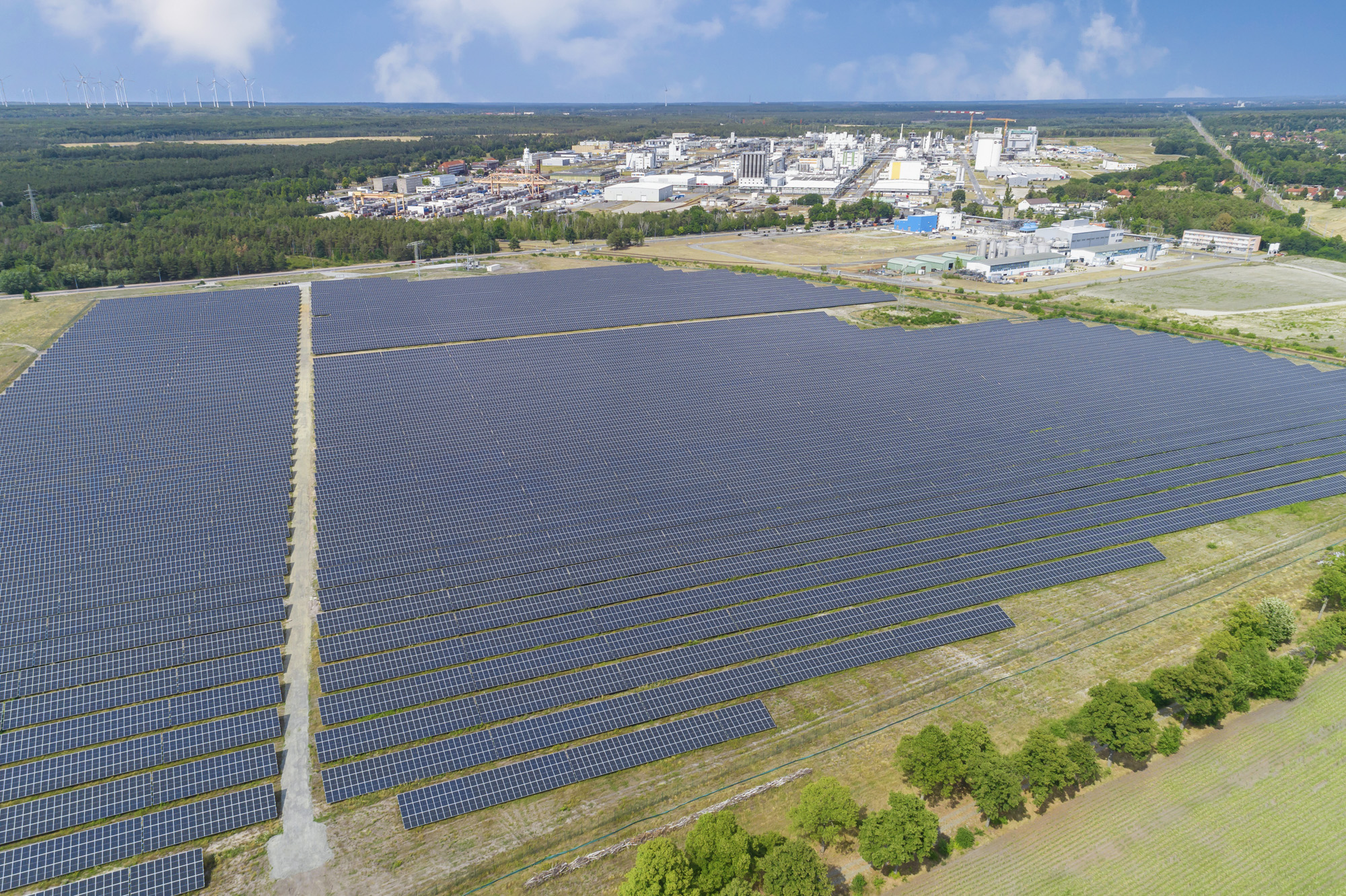 BASF Schwarzheide setzt auf Solar