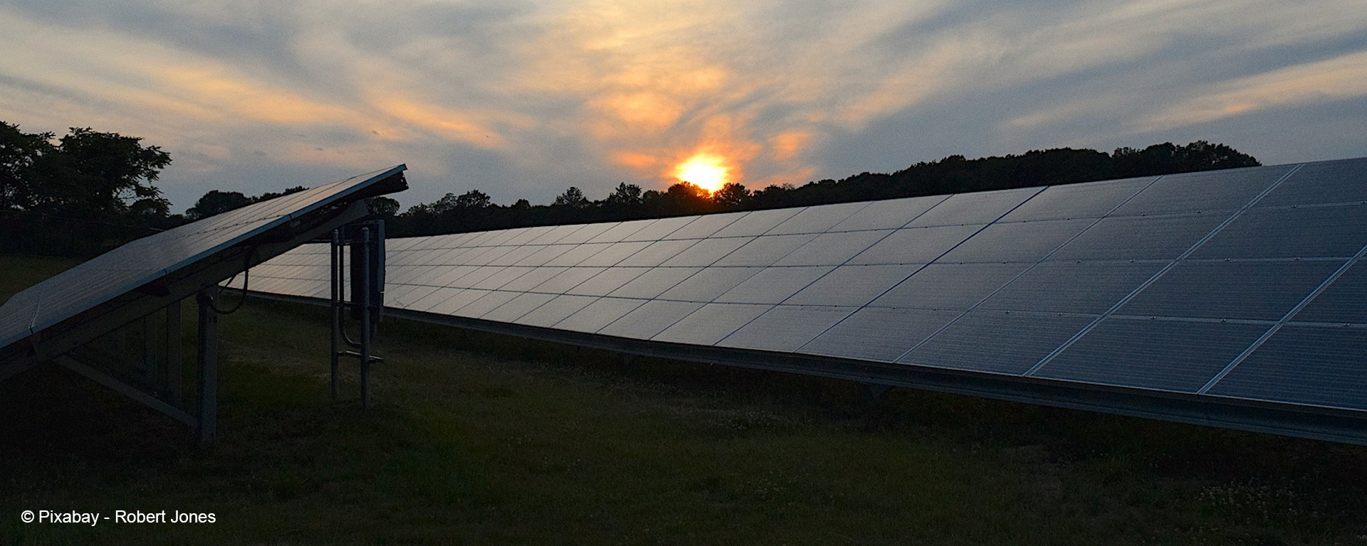 Warum Agri-Photovoltaik gut in die Lausitz passt