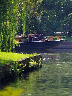 Spree am Tropf