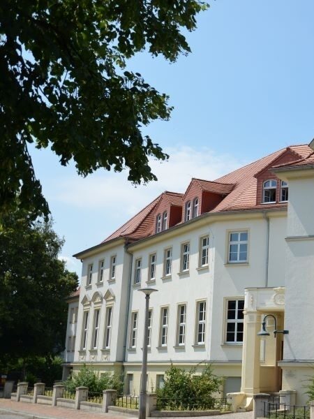 Landratswahlen 2026: Drei Kandidaten f&uuml;r OSL