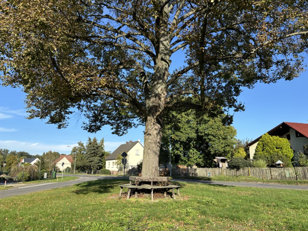 Nichts mehr los an der Dorflinde: Kleine Orte tun sich schwerer damit, Neubürger anzuziehen. 
