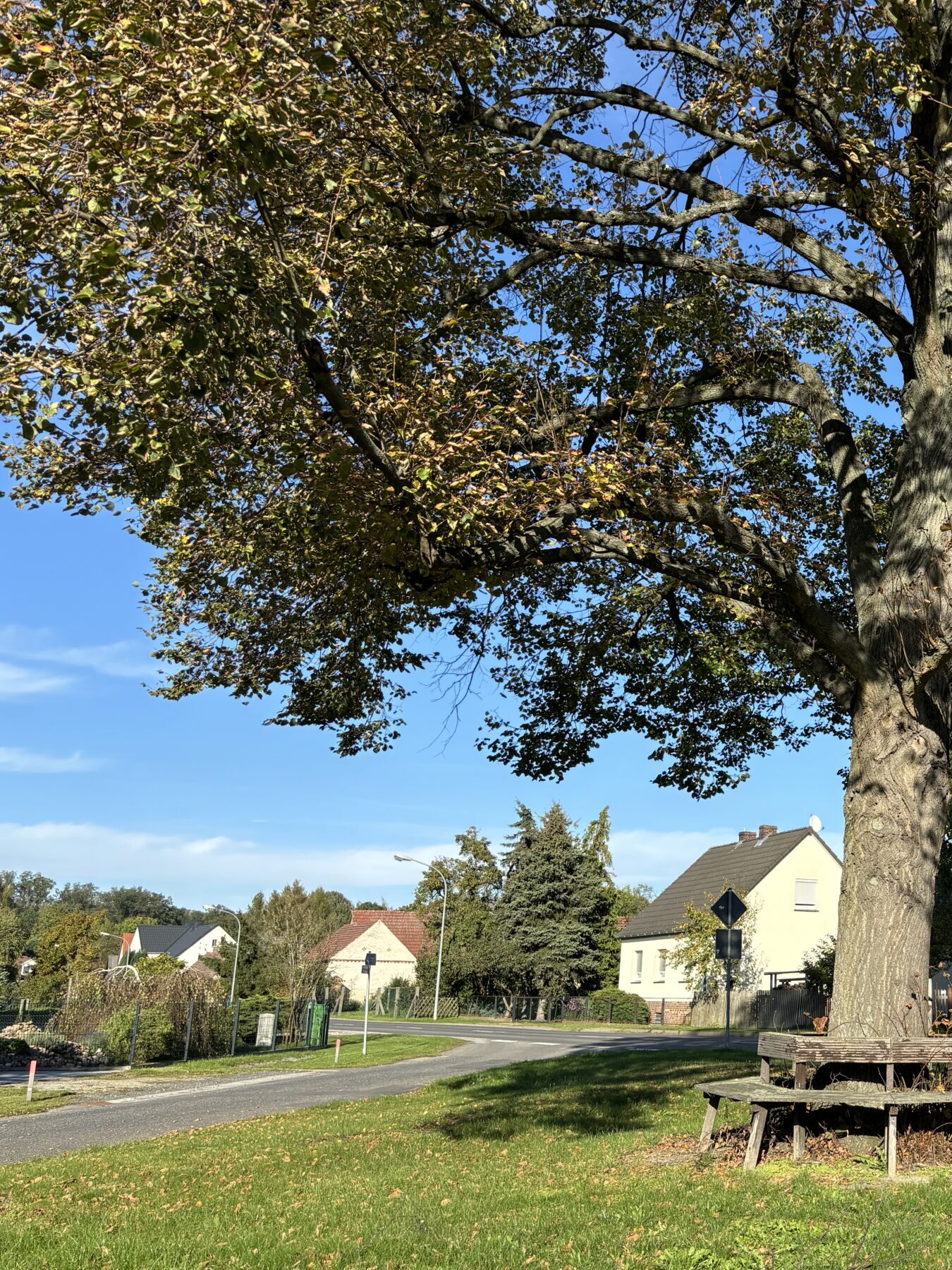 Bestenfalls schrumpft die Lausitz langsamer  