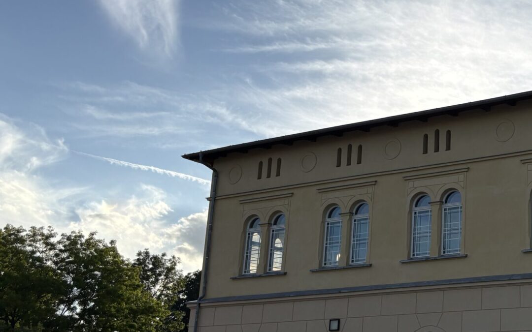 Diese Wahlen stehen 2026 an