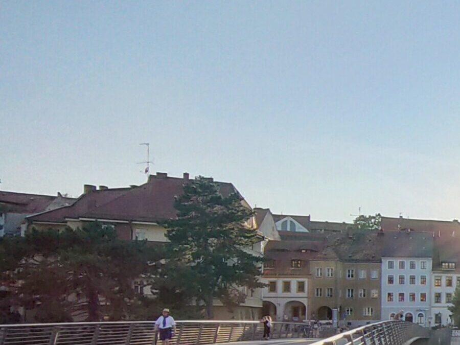 Zunehmend auf Augenhöhe 