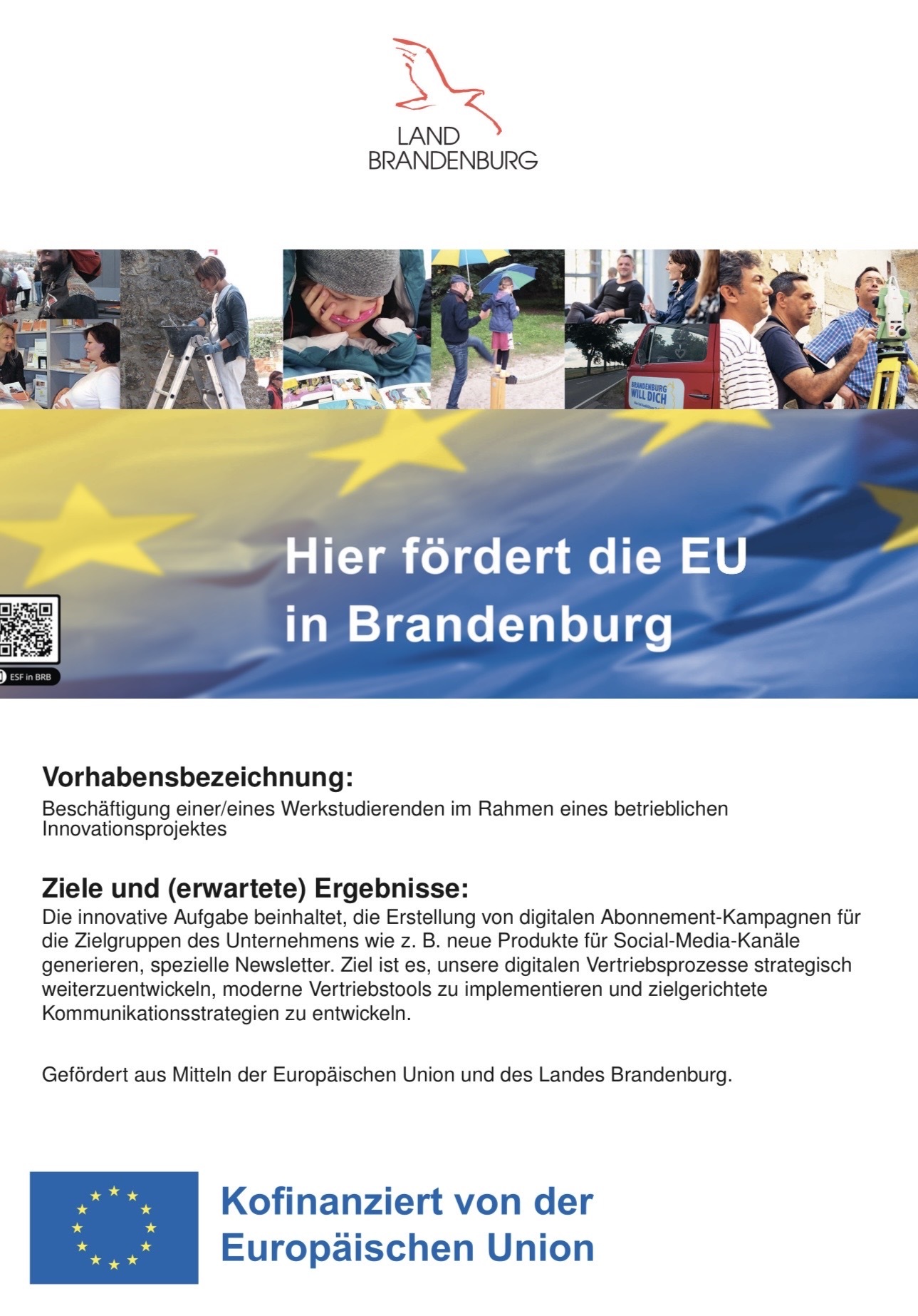 ESF Plakat