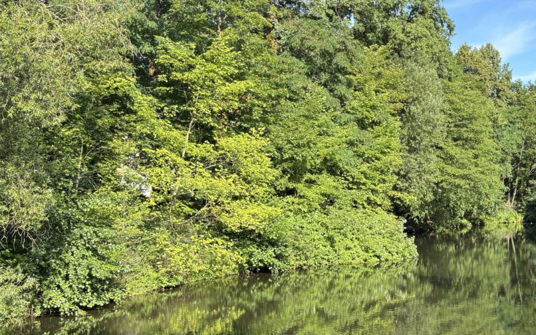 Deutsch-polnische Forscher untersuchen Lausitzer Wasser   